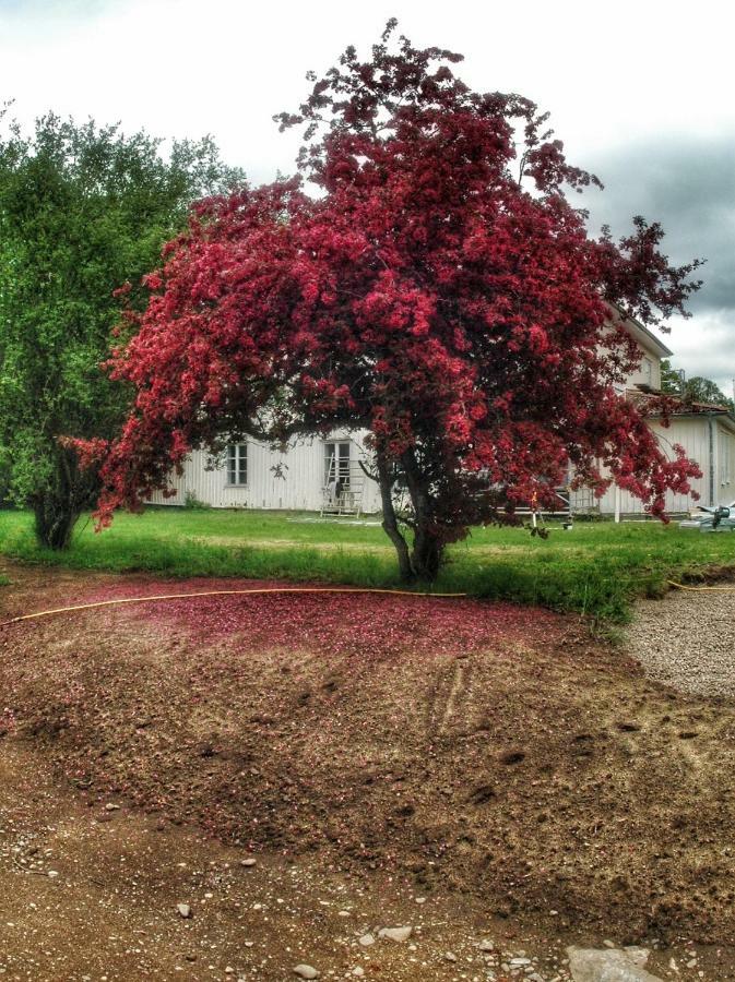 Lundsbrunn B&B Exteriér fotografie